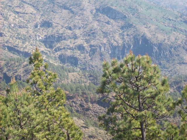BARRANCA LEONA; FALLA DE SAN ANDRES QUE SE DINTINGUE EN EL PTE. DE METLAC